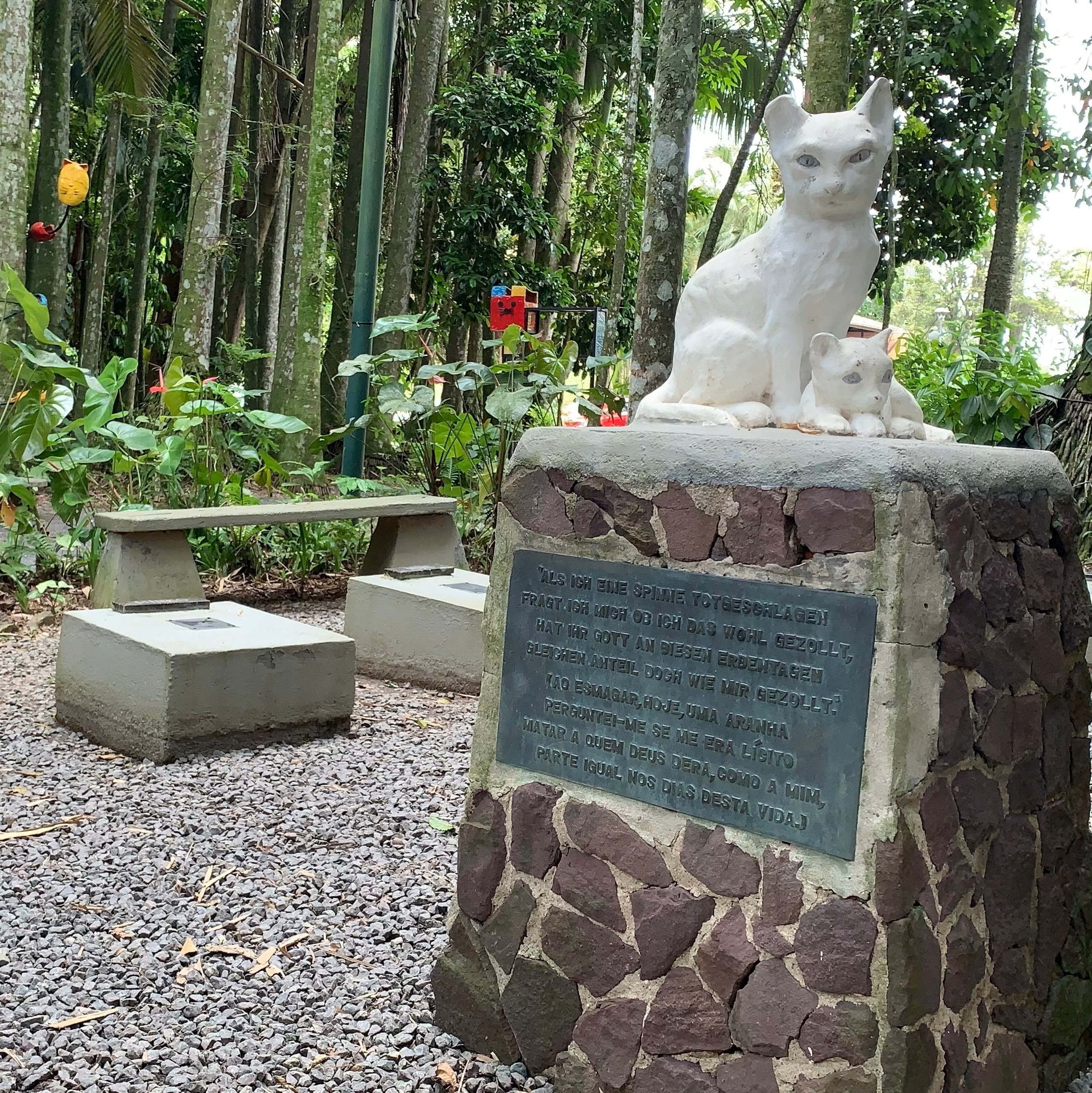 G1 - Cemitério de gatos em SC esconde história de atriz, da fama à clausura  - notícias em Santa Catarina