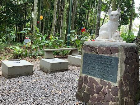 G1 - Cemitério de gatos em SC esconde história de atriz, da fama à