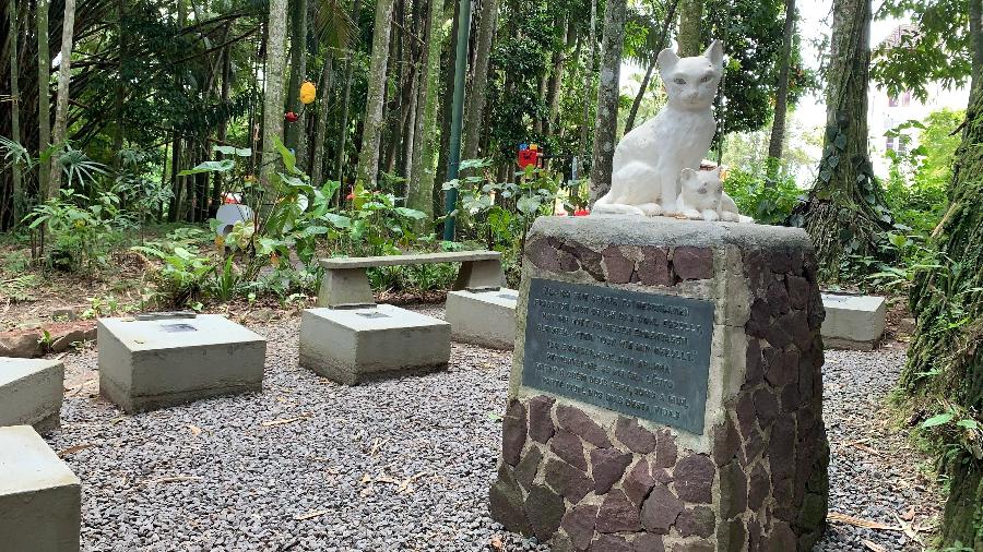 Cemitério dos gatos de Blumenau (SC) deve ser um dos poucos a ficar vazio neste dia de finados - Giorgio Guedin