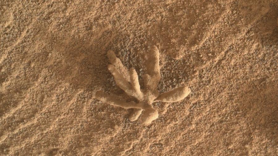 "Flor" do tamanho de uma moeda foi registrada no solo de Marte - Nasa/JPL-Caltech/MSSS 