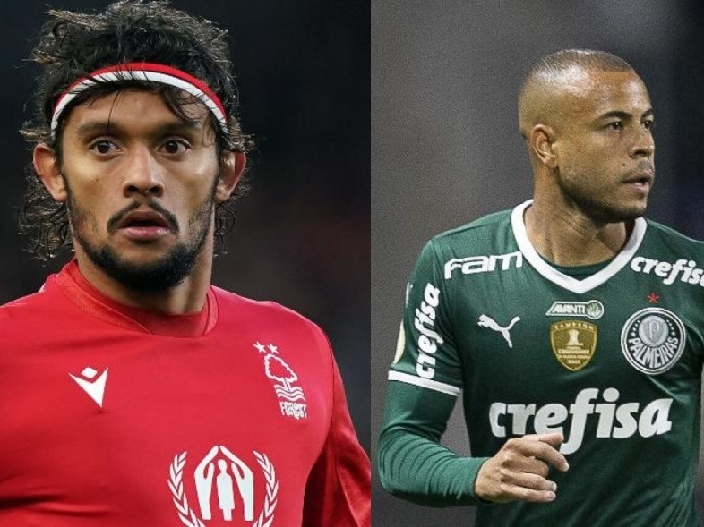 Saiba mais sobre prejuízo milionário de alguns jogadores do Palmeiras,  jogadores de palmeiras 