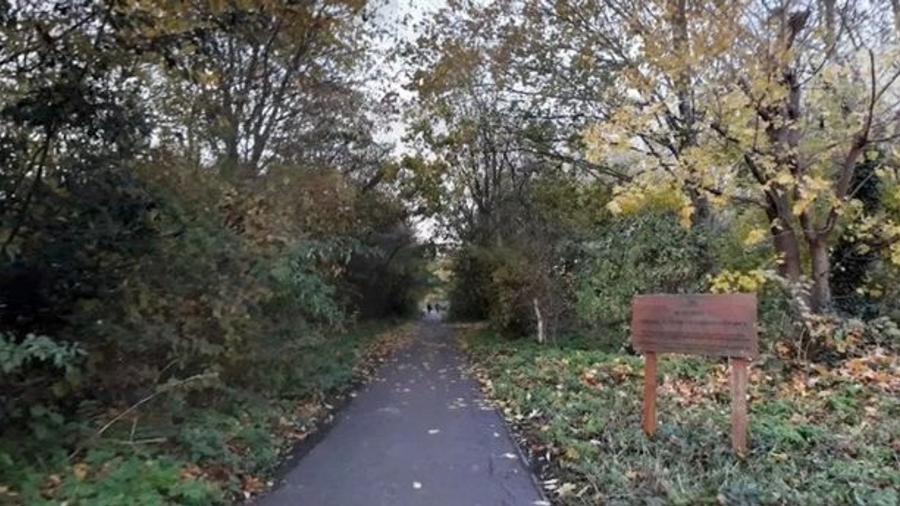 A vítima estava descansando ao lado de uma árvore velha, que repentinamente caiu sobre ela em um parque na Inglaterra - Reprodução/Google Maps