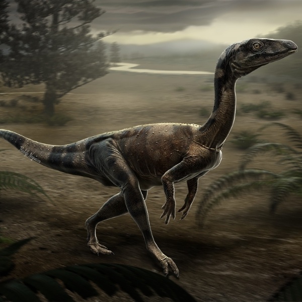 Rodolfo Nogueira / Reprodução