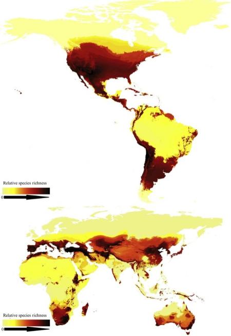 As revelações do primeiro mapa global de abelhas - Current Biology - Current Biology