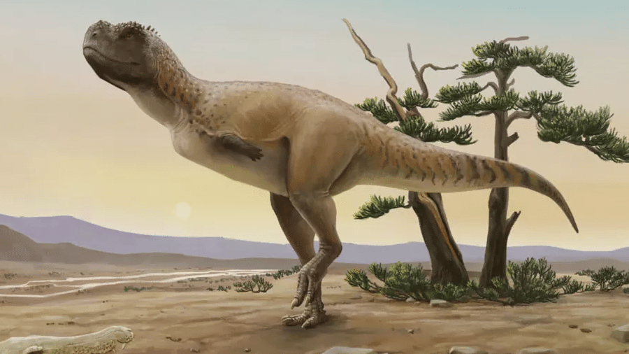 O dinossauro Kurupi itaata pertence à família dos abelissaurídeos e foi encontrado no município de Monte Alto (SP) - Divulgação/Museu de Paleontologia de Monte Alto
