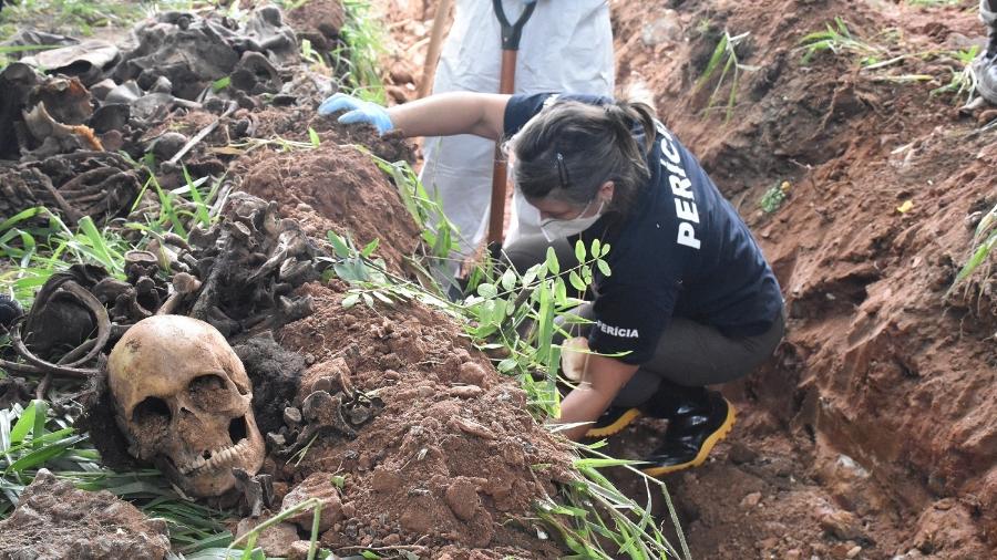 Escavações em vala clandestina em Pedreira, periferia da zona sul de São Paulo - Polícia Técnico-Científica de São Paulo