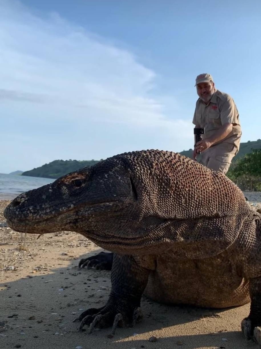 EVOLUINDO UM DRAGÃO ATÉ ELE FICAR GIGANTE! 