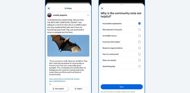 Meta testará sistema de notas da comunidade nos EUA a partir da próxima semana