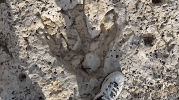 Pegada de dinossauro identificada em terreno rochoso do Texas