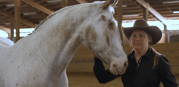 A blind horse breaks three Guinness World Records