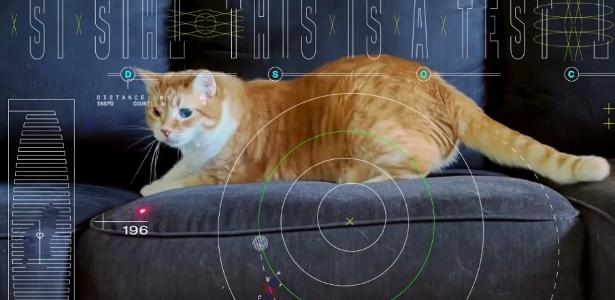 Nasa transmite vídeo de gato em alta resolução do espaço profundo; veja