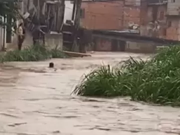 Homem filmado sendo arrastado pela chuva em SP é encontrado morto