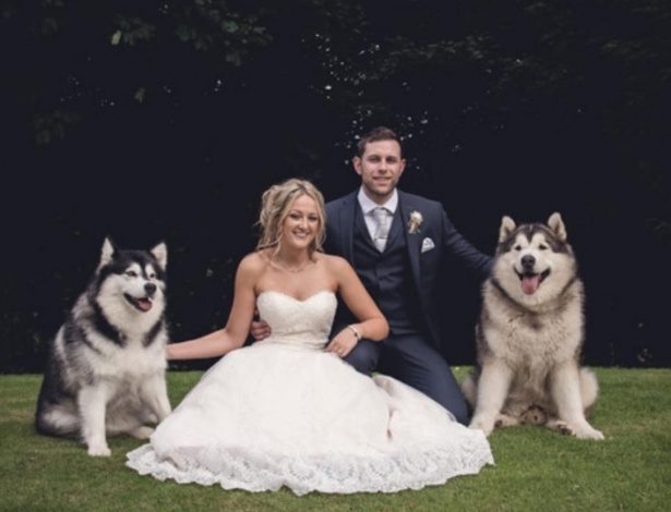 Cerimônia com os cães ocorreu em Cumbria, na Inglaterra - Reprodução/instagram@lifewithmalamutes