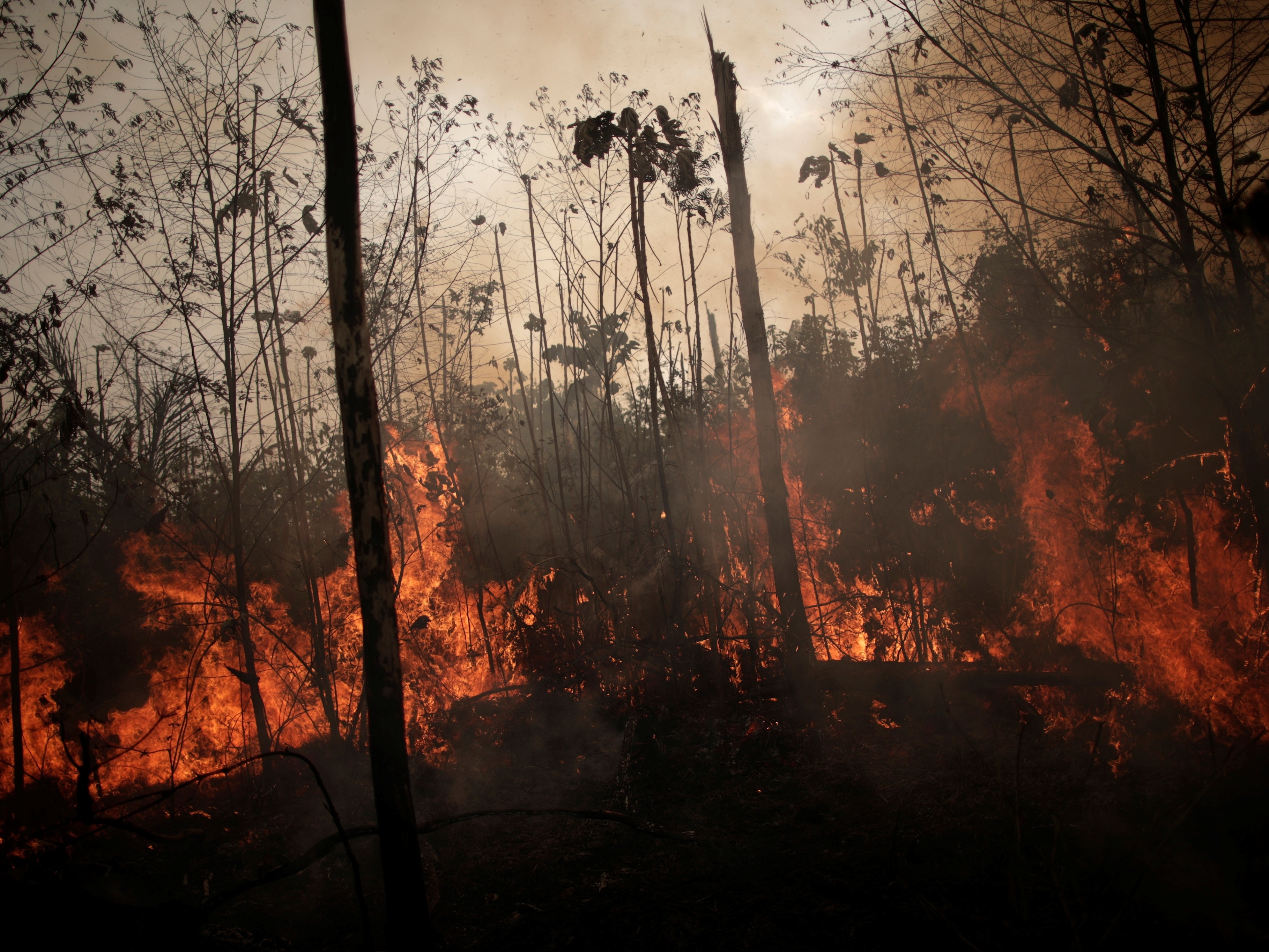 Por que o Brasil pega fogo todos os anos? - 13/10/2020 - UOL ECOA Por que o Brasil pega fogo todos os anos? - 13/10/2020 - UOL ECOA