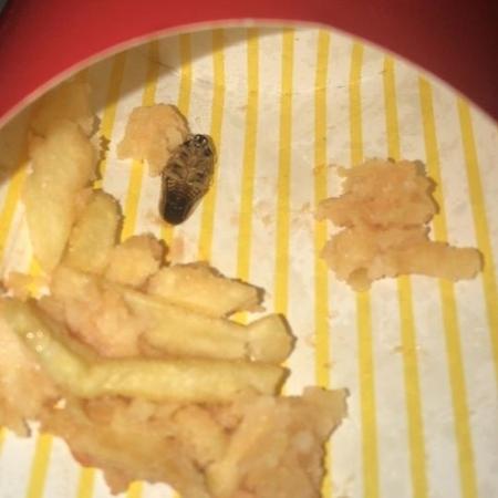Barata encontrada em batata frita do McDonald"s por cliente em São Vicente (SP) - Arquivo pessoal