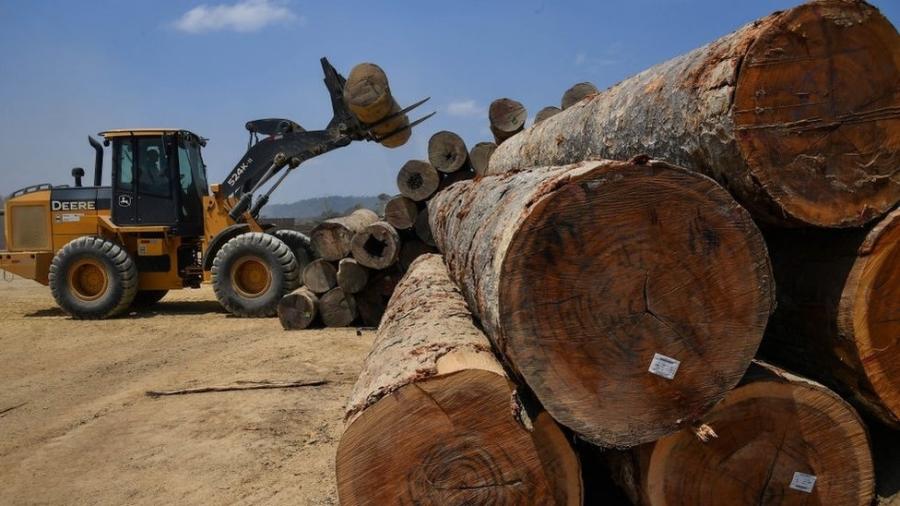 Os líderes mundiais se comprometeram a parar e reverter o desmatamento - Getty Images
