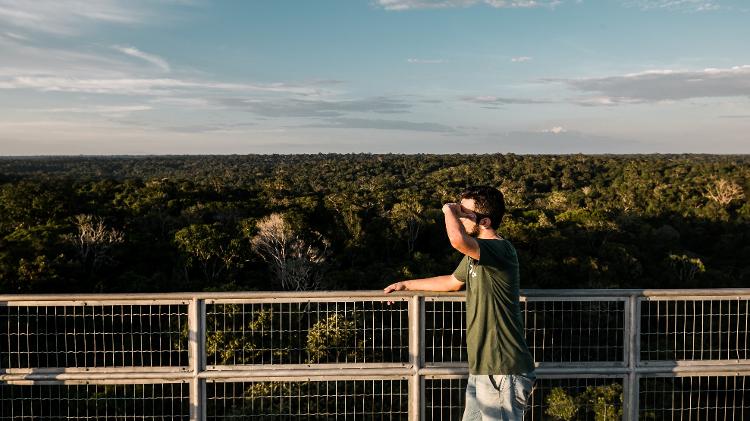 Musa tem torre que permite vista incrível da Amazônia