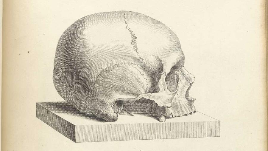 Reprodução iconográfica do crânio roubado em 1835 Reprodução iconográfica do crânio roubado em 1835