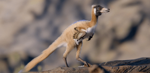 Cientistas encontram fóssil de dinossauro minúsculo e comedor de formigas