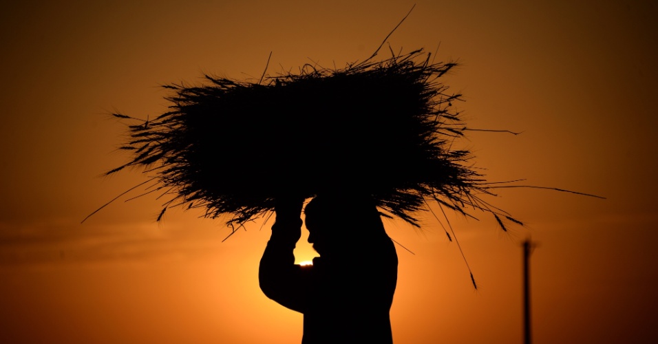 04.ago.2015 - Silhueta de fazendeiro carregando trigo, durante o pôr do sol nos arredores de Mazar-i-sharuf, no Afeganistão