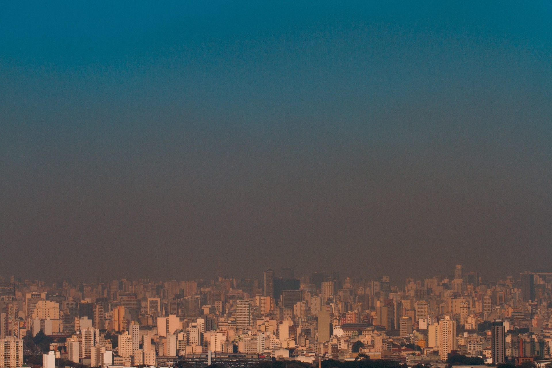 Fotos: Imagens do dia - 12 de agosto de 2015 - 12/08/2015 - UOL Notícias