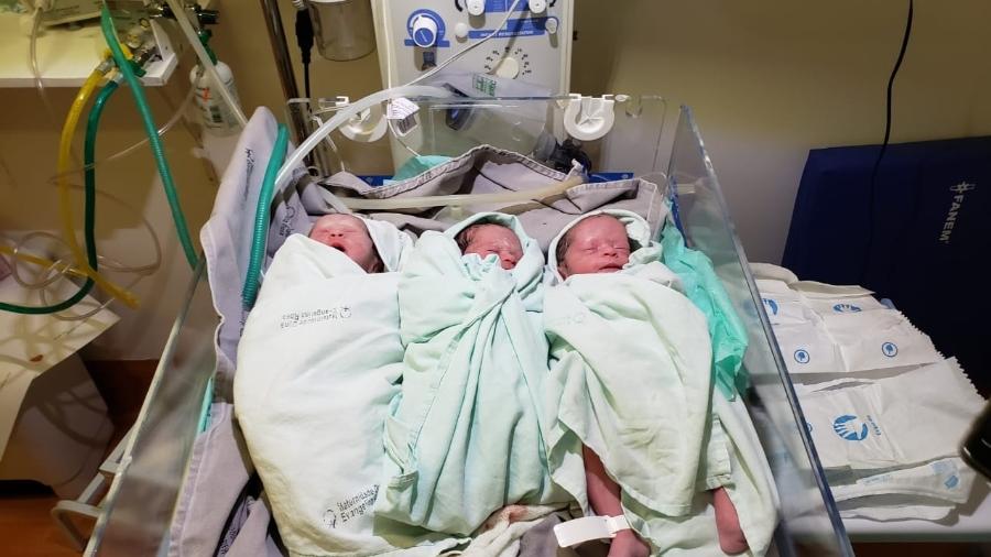 As trigêmeas Izabel, Eloá e Eloíza nasceram de parto normal em Teresina - Divulgação/Maternidade Evangelina Rosa 