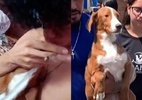 Homem gravado dando maconha para cão no AM é preso; animal foi resgatado - Reprodução de vídeo