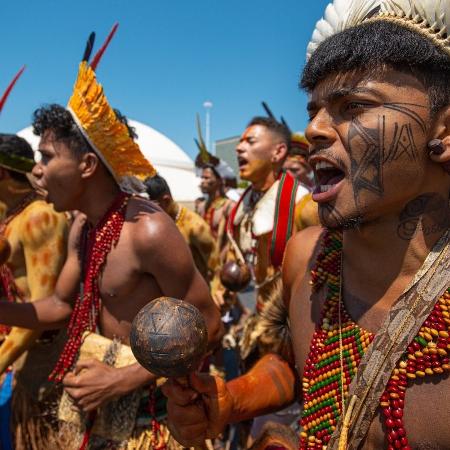 Apesar de haver mais de 800 mil indígenas no Brasil, pouco mais de 2.000 disputam eleições - Tiago Miotto /Cimi