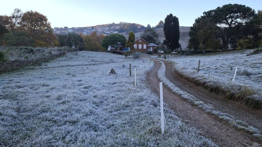 Imagem de arquivo da Serra Catarinense, que pode registrar neve na segunda-feira (28) - Mycchel Legnaghi / Agência São Joaquim Online