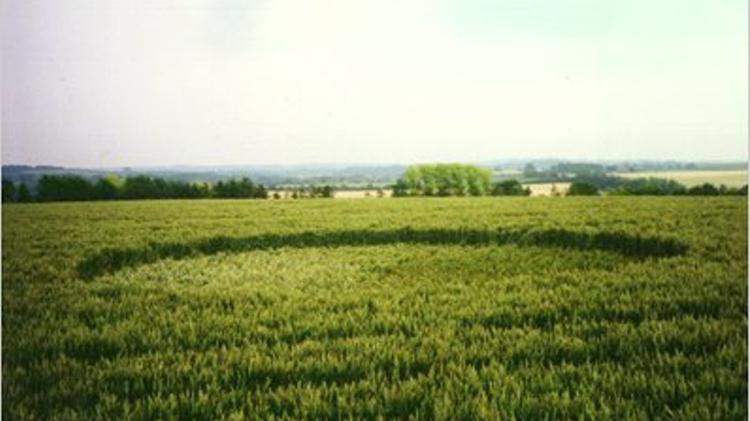 In 1992, a mysterious circle appeared on a plantation in Hungary near Budapest.