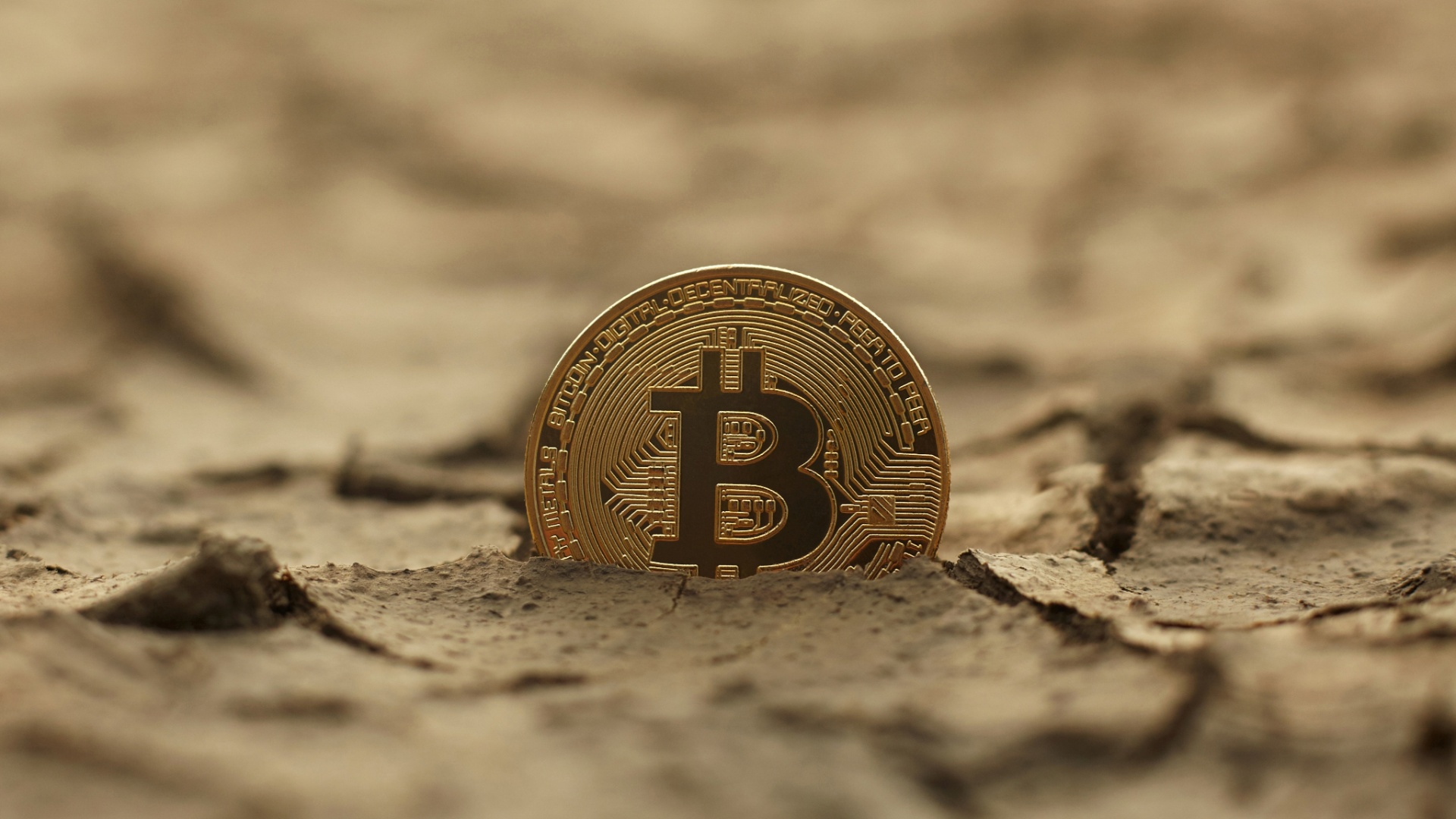 Bitcoin destruirá o planeta? | UOL Notícias