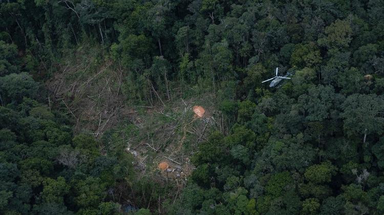 Área de desmatamento na TI Yanomami