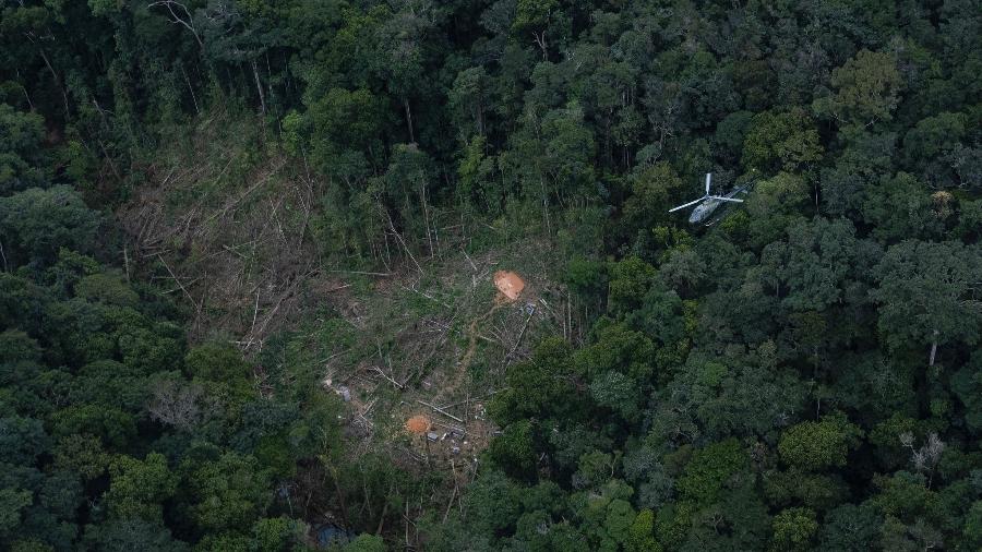 Área de desmatamento na TI Yanomami Área de desmatamento na TI Yanomami