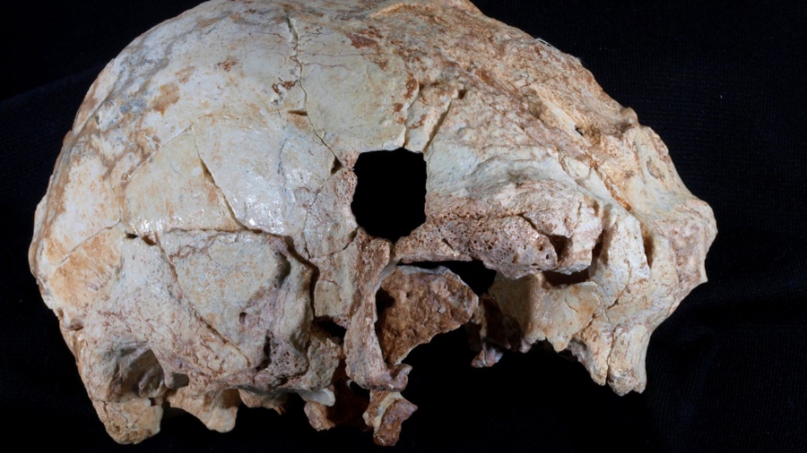 Crânio de 400.000 anos de homem de Neandertal - PNAS