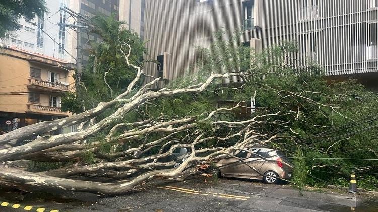 Chuva forte em São Paulo derrubou árvore na Rua Henrique Monteiro, próximo à Faria Lima