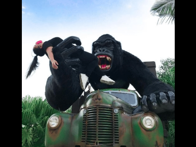 Queda de menino em atração no Beto Carrero World: o que se sabe e o que  falta saber, Santa Catarina