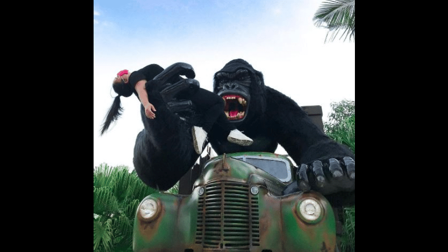 Foto publicada no site do parque mostra turista na estátua Gorila Gigante, de onde Enzo caiu - Divulgação/Beto Carrero World
