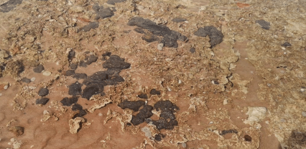 Manchas de óleo voltam a aparecer no litoral da Bahia - Vimarsana News