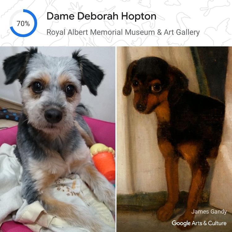 Ferramenta Pet Portraits do Google Arts & Culture - Reprodução - Reprodução