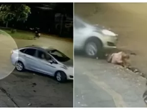 Idosa é atropelada duas vezes por motorista durante briga e morre em GO