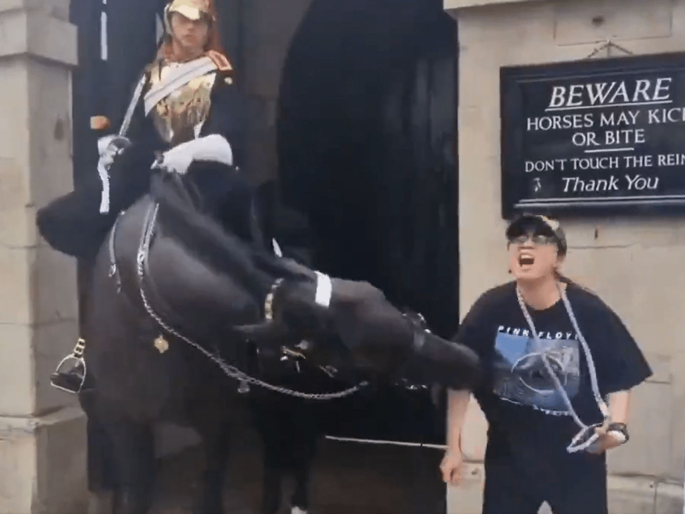 Mulher desmaia após ser mordida por cavalo da Guarda Real em Londres