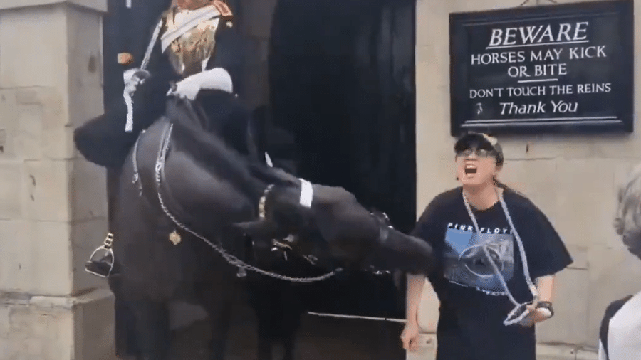 Mulher foi mordida por cavalo da Guarda Real