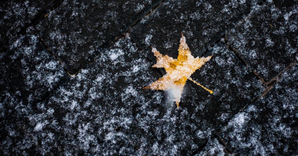 6.nov.2015 - Uma folha coberta por flocos de neve em Pequim, na China