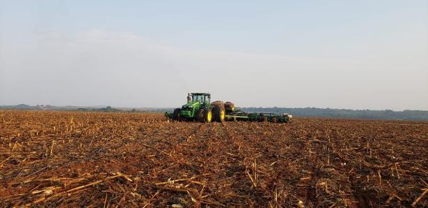 Safra 2025 pode bater recorde e ser 11% maior que a de 2024, diz IBGE