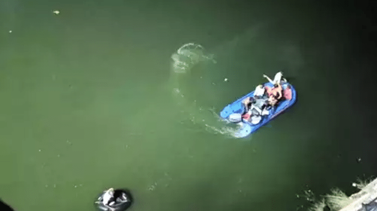     Six boats, six ambulances and two rescue vehicles participate in the rescue operation - Reproductive/Social Networks - Reproductive/Social Networks