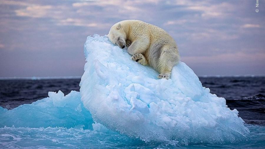 'Ice Bed': foto ganhou prêmio por votação popular