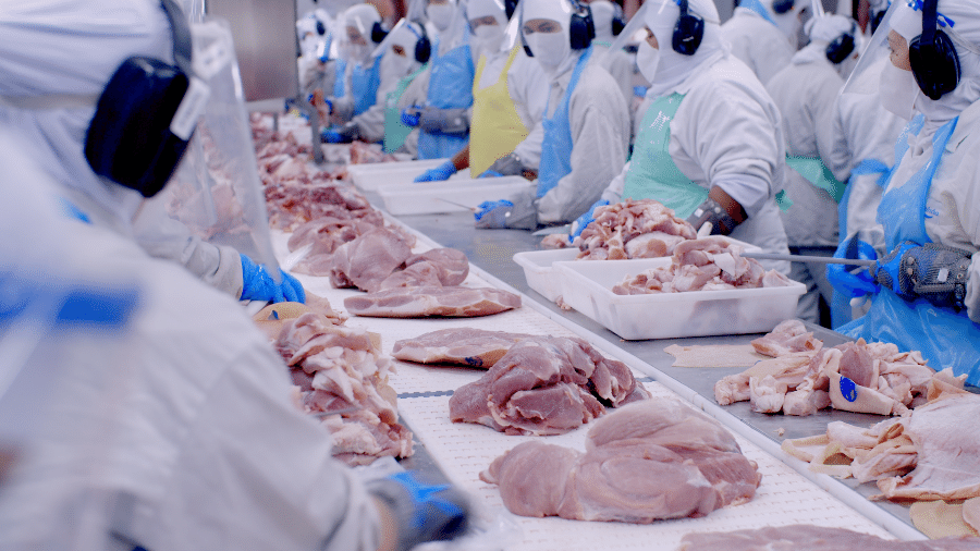 O país registrou recordes nos abates de frangos e de suínos no terceiro trimestre deste ano, segundo o IBGE - Divulgação