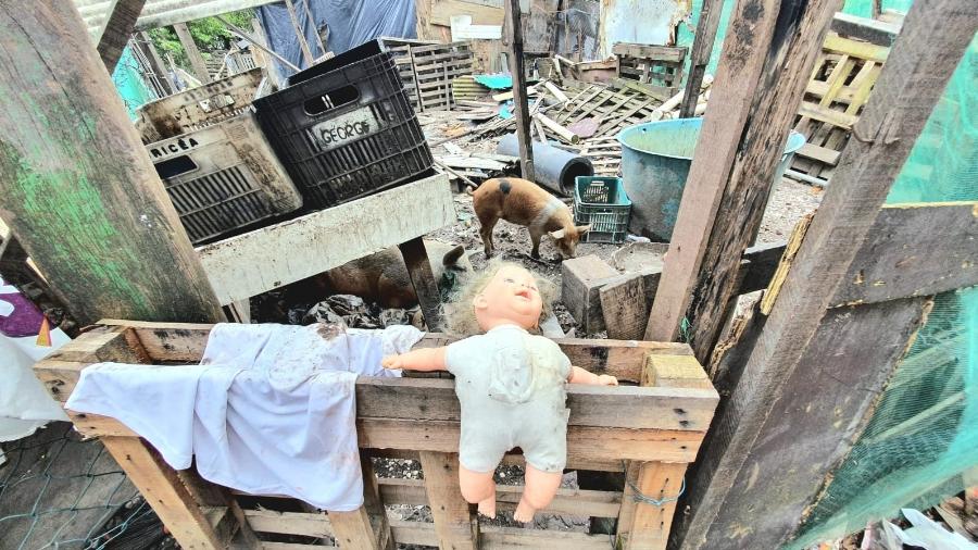 Favela Mundaú, em Maceió: extrema pobreza reduziu mais no Nordeste, mas ainda é a mais alta do país