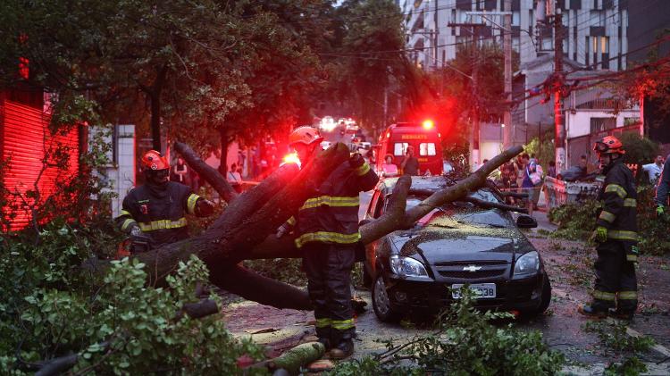 Árvore cai e atinge carro na rua Artur de Azevedo, próximo à esquina com a rua João Moura, em São Paulo
