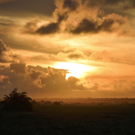 Mensagens para enviar ao entardecer - Bruno Melo (WikiParques)